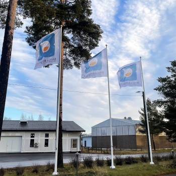 Lippude valmistamine, lipumastid ja firmalipud