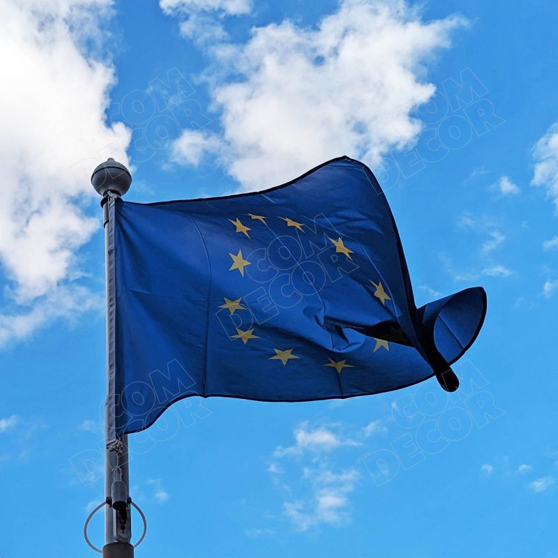 Euroopa liidu lipp