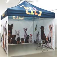 Tent EZUp Eclipse